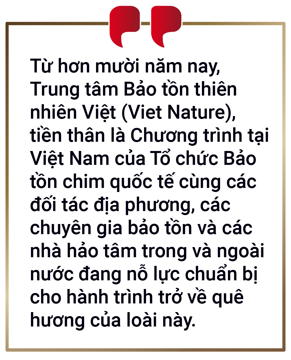 Từ Bỉ, gà lôi lam mào trắng Việt Nam hồi cố hương - Ảnh 22.