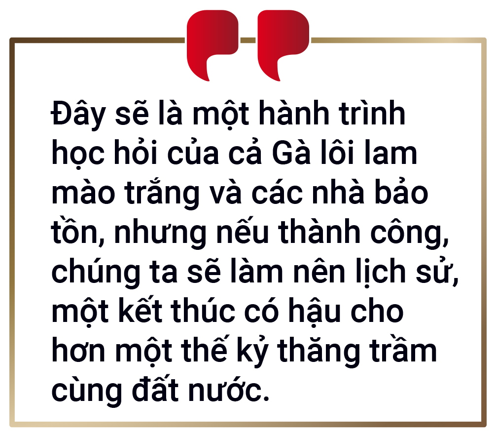Từ Bỉ, gà lôi lam mào trắng Việt Nam hồi cố hương - Ảnh 25.