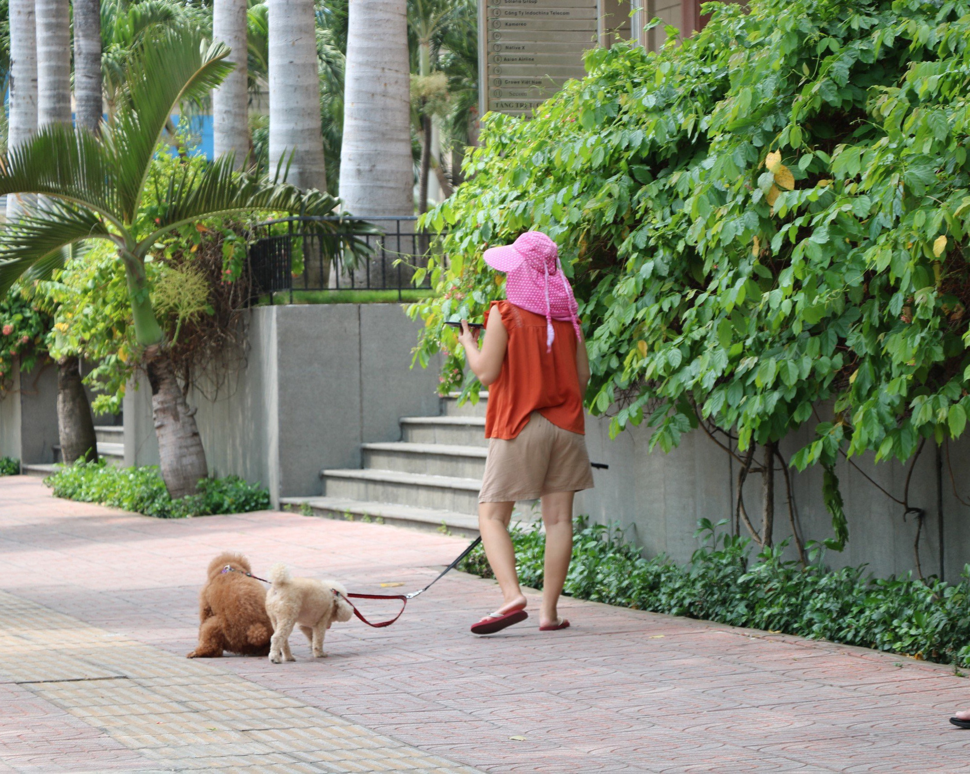 3-year-old child dies of rabies after stray dog bite in Vietnam’s Gia Lai - Ảnh 1.