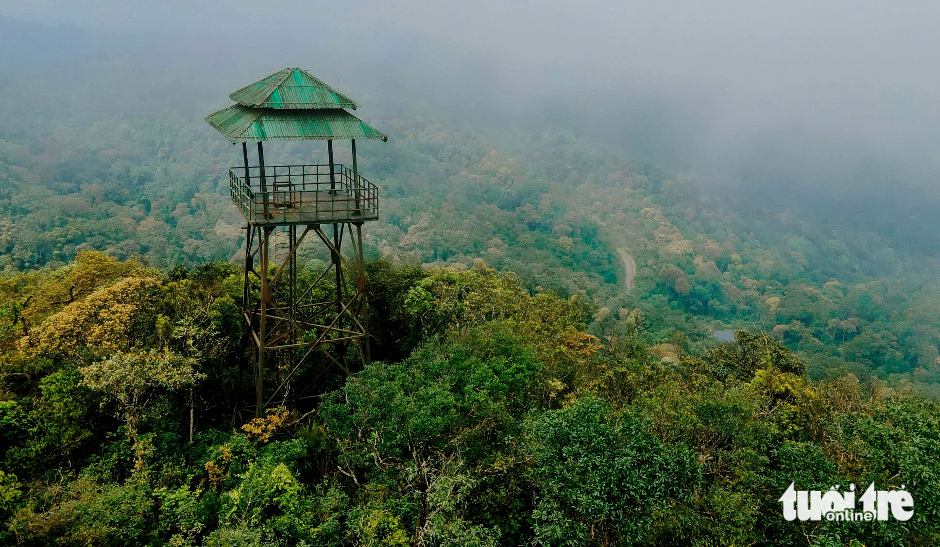 Một doanh nghiệp muốn làm du lịch trên đỉnh U Bò, Quảng Bình - Ảnh 1.