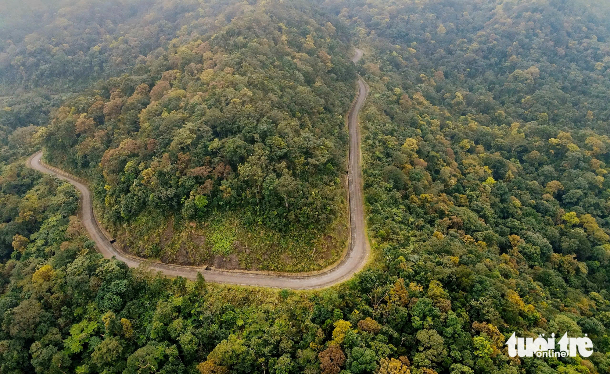 Đỉnh U Bò - Ảnh 3.