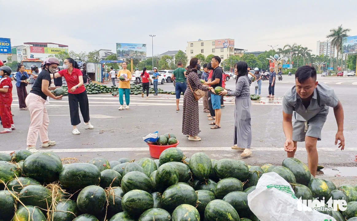 dưa hấu - Ảnh 3.