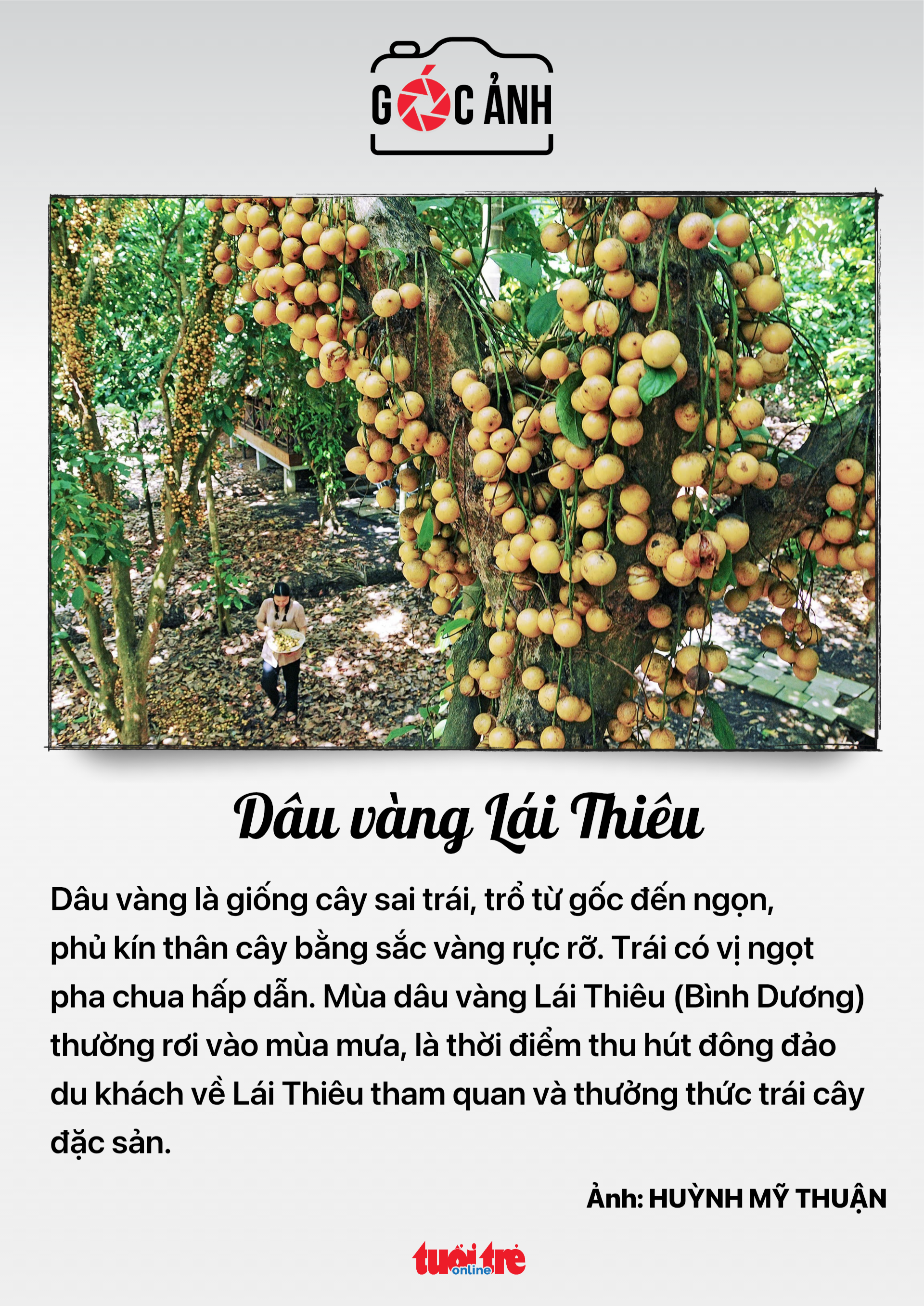 ngành điện - Ảnh 5.