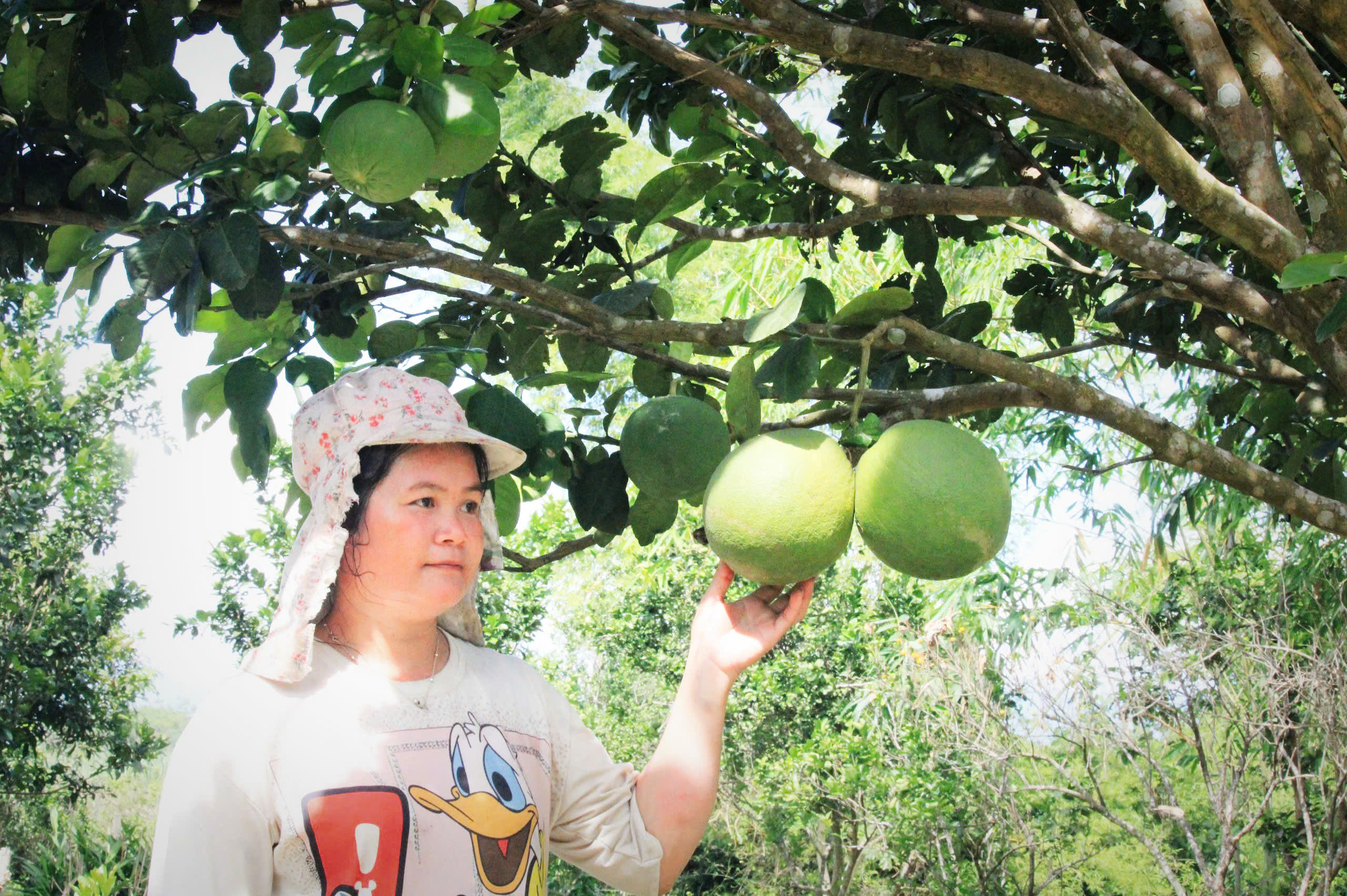 Về ngôi làng mang tên Bác Hồ của người Raglai - Ảnh 3. Bác Hồ - Ảnh 3.
