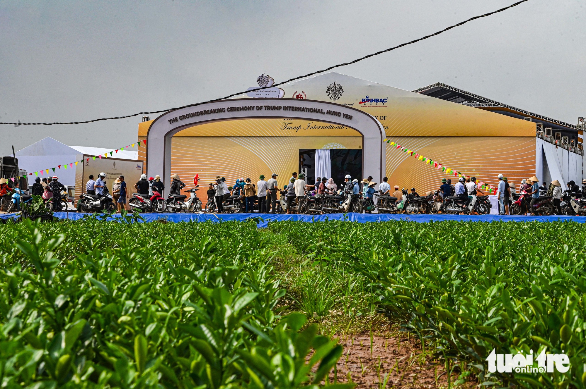 dự án - Ảnh 1.