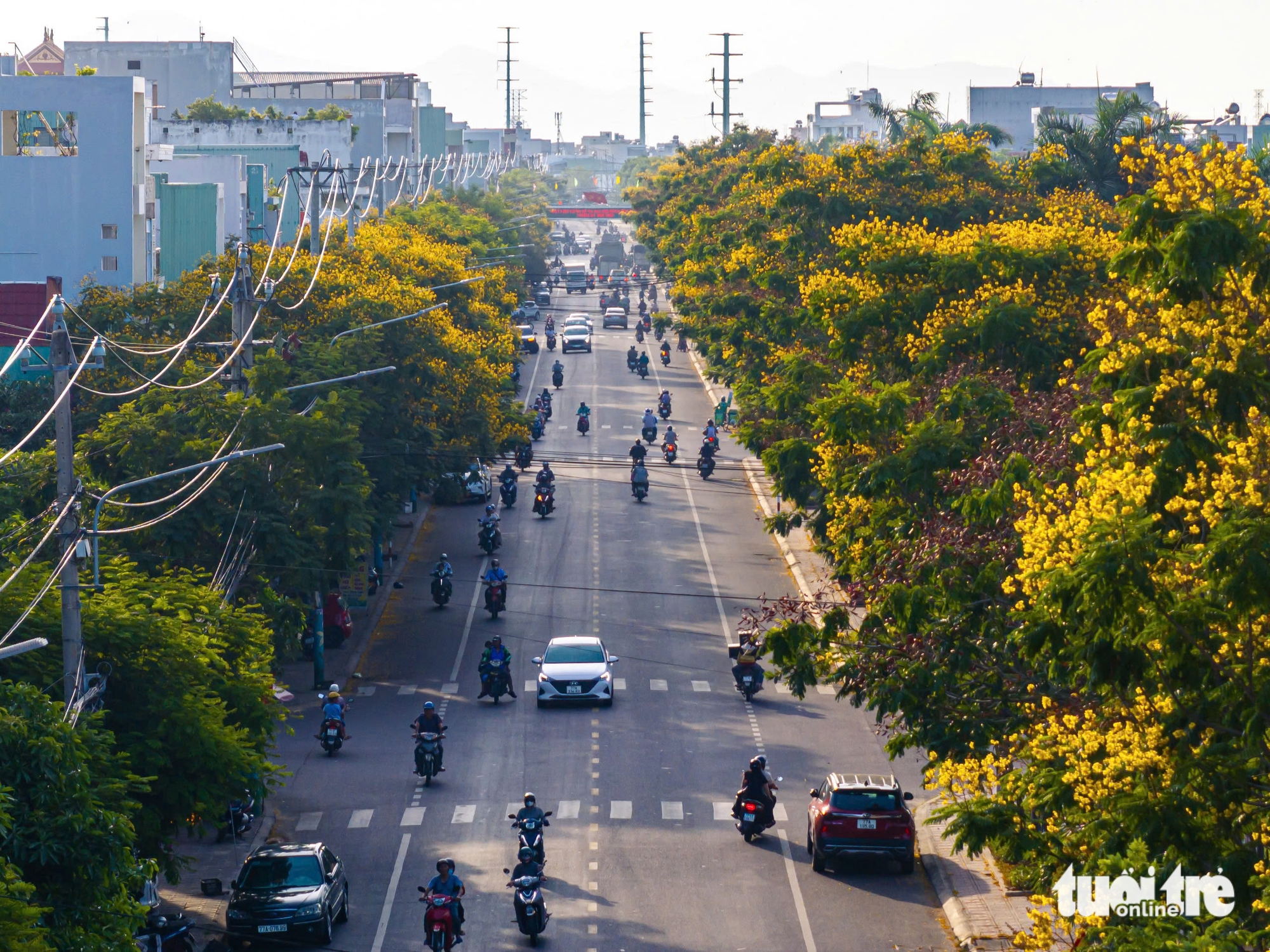 Nhìn từ trên cao, thấy một Quy Nhơn lộng lẫy - Ảnh 7. Quy Nhơn - Ảnh 6.