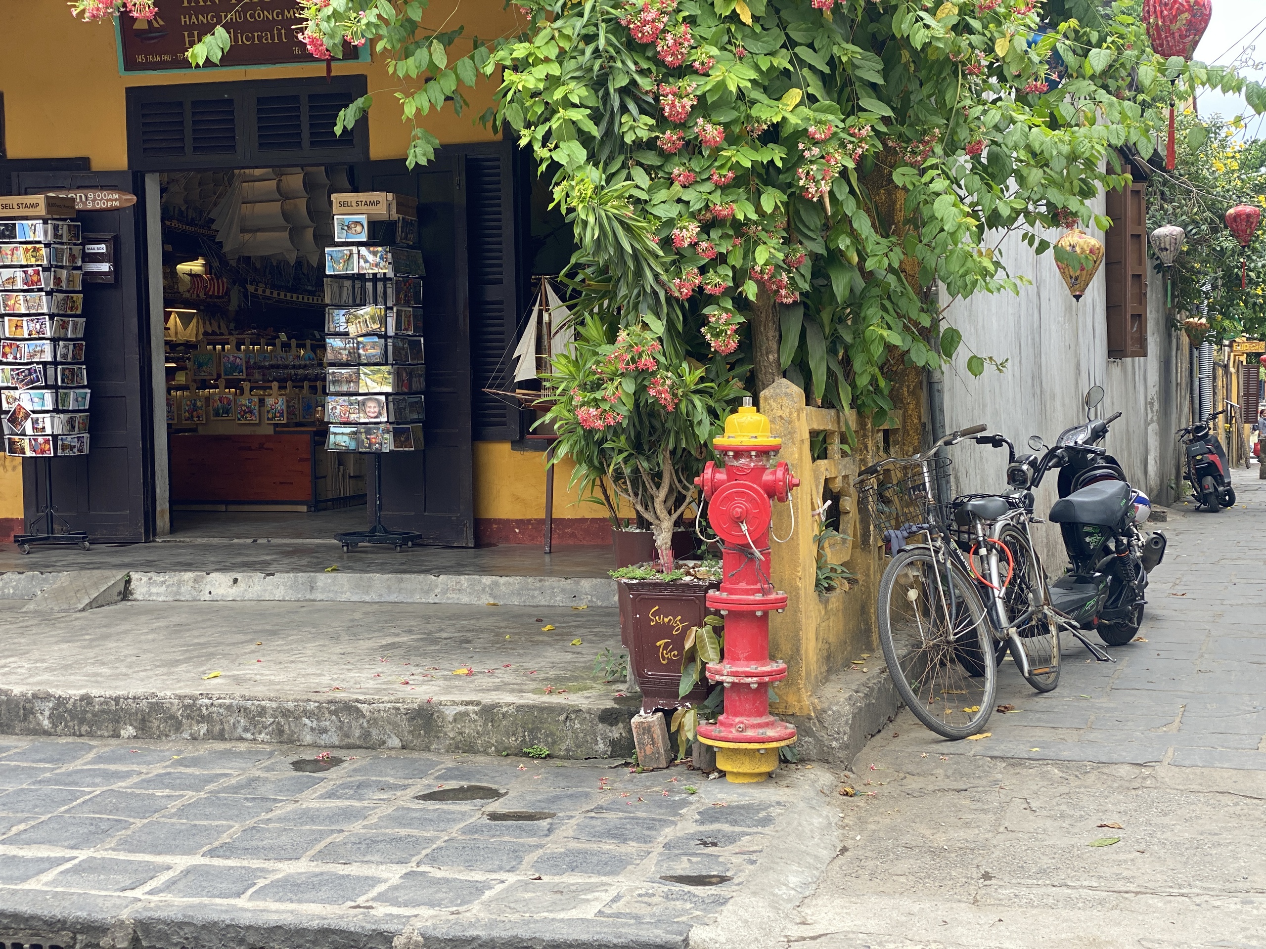 Hội An - Ảnh 1.