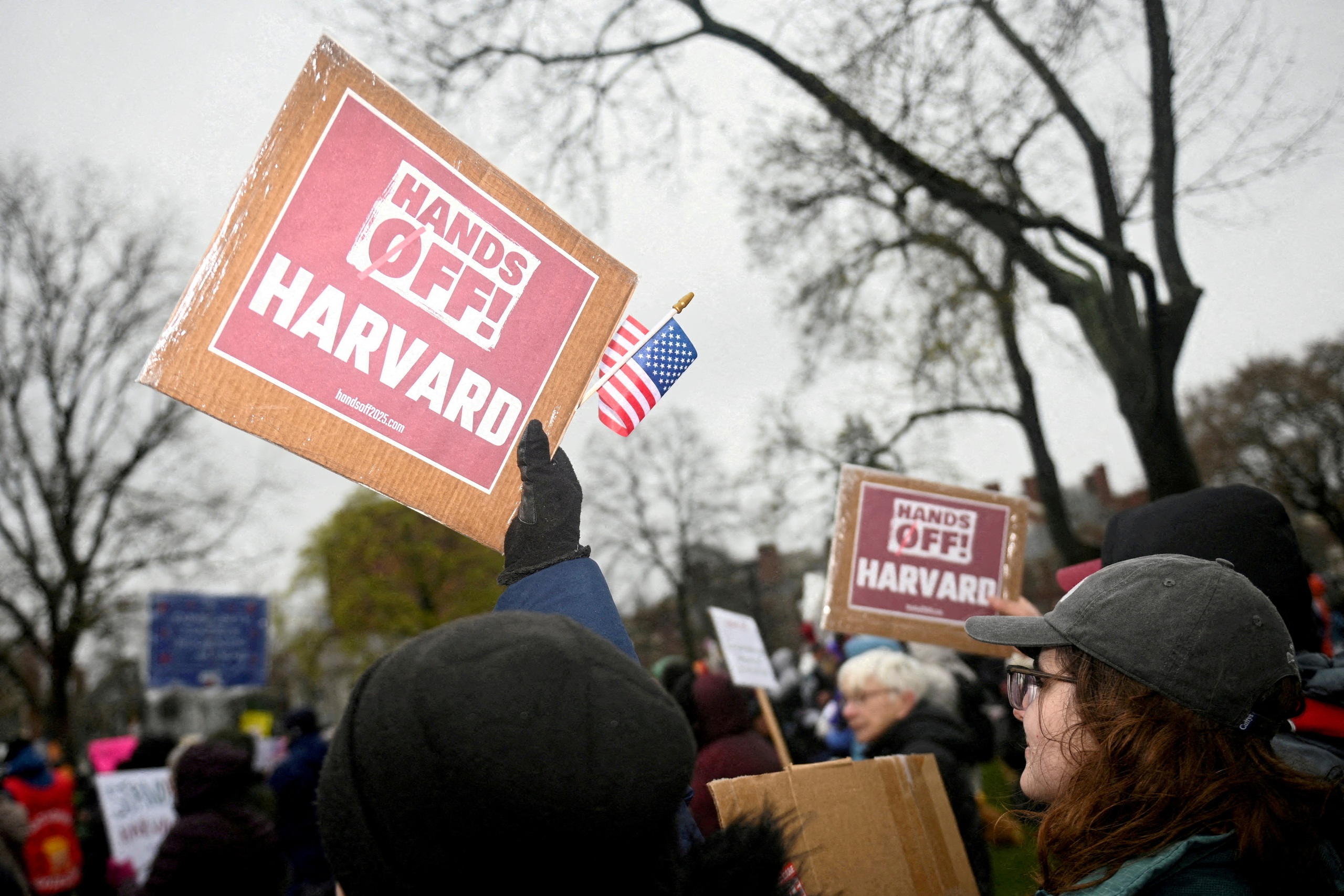 Harvard - Ảnh 1.