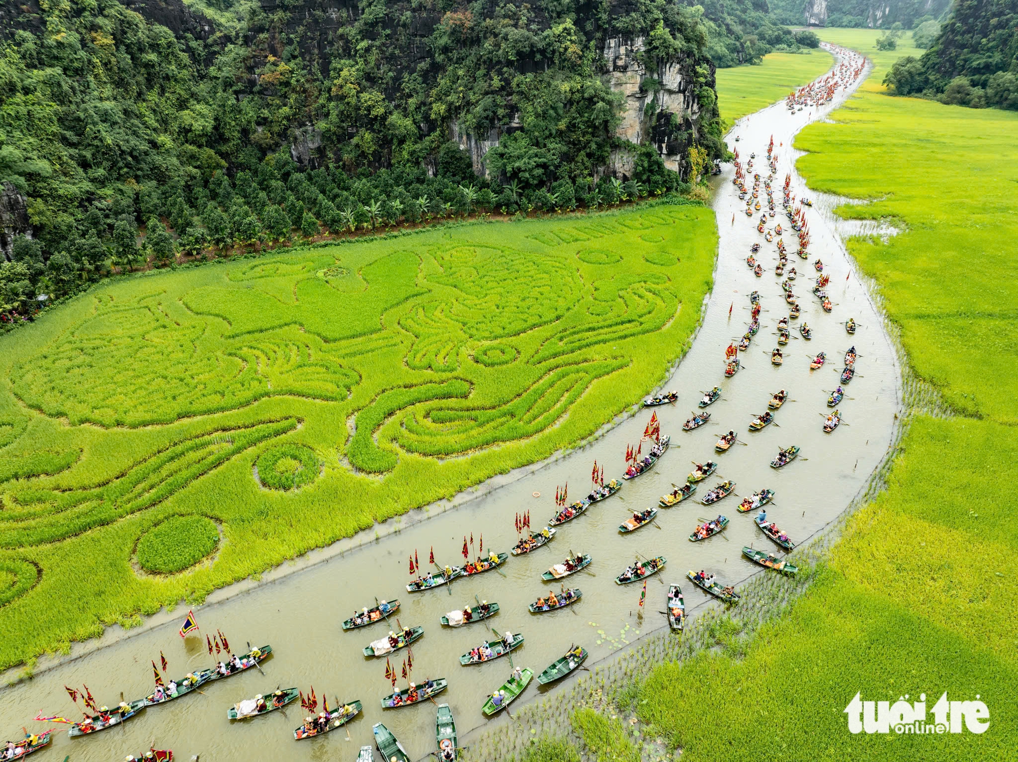 Lúa chín gọi mời, Ninh Bình khai hội ‘Sắc vàng Tam Cốc - Tràng An’ - Ảnh 1. Lúa chín gọi mời, Ninh Bình khai hội ‘Sắc vàng Tam Cốc - Tràng An’ - Ảnh 1.