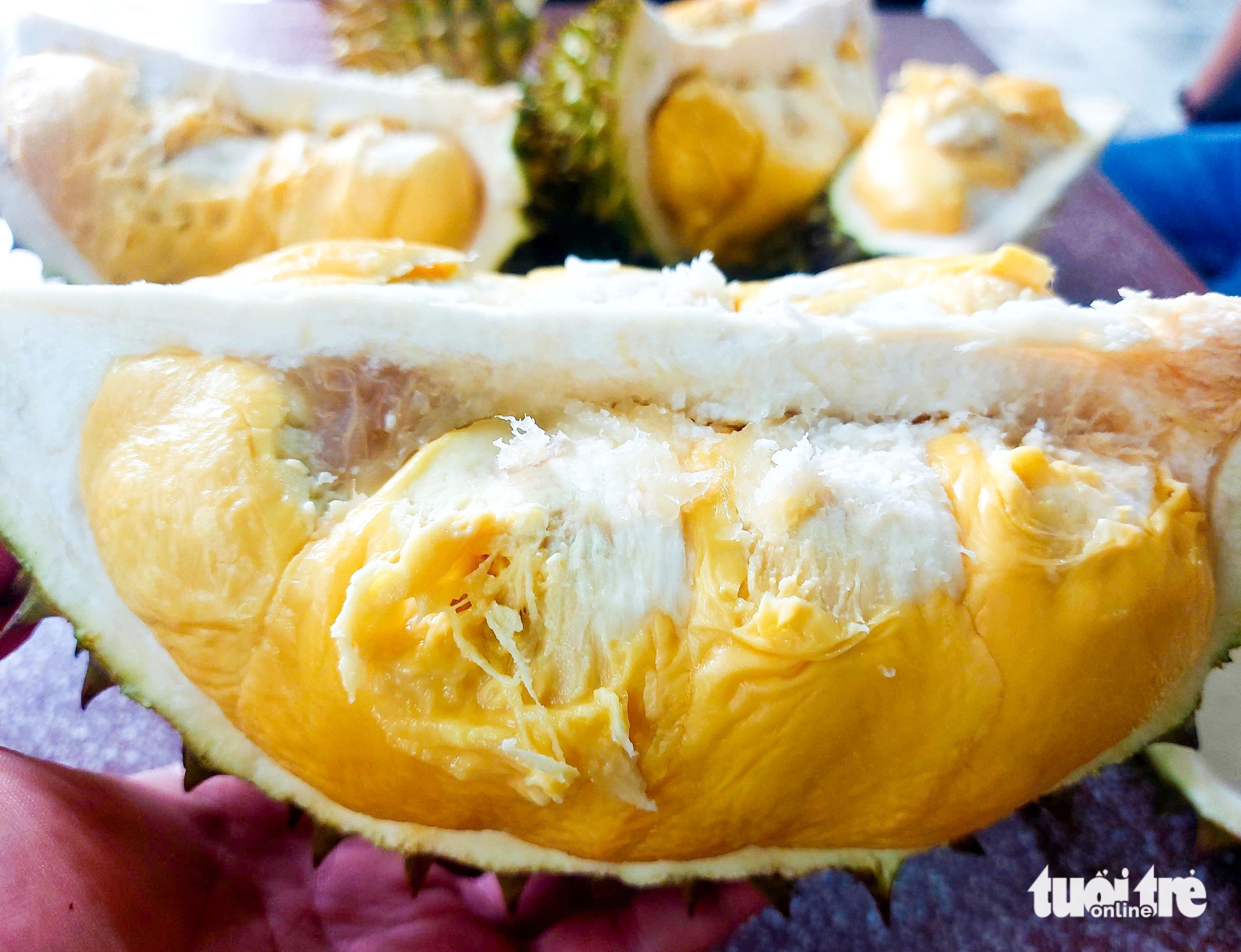 sầu riêng - Ảnh 3.