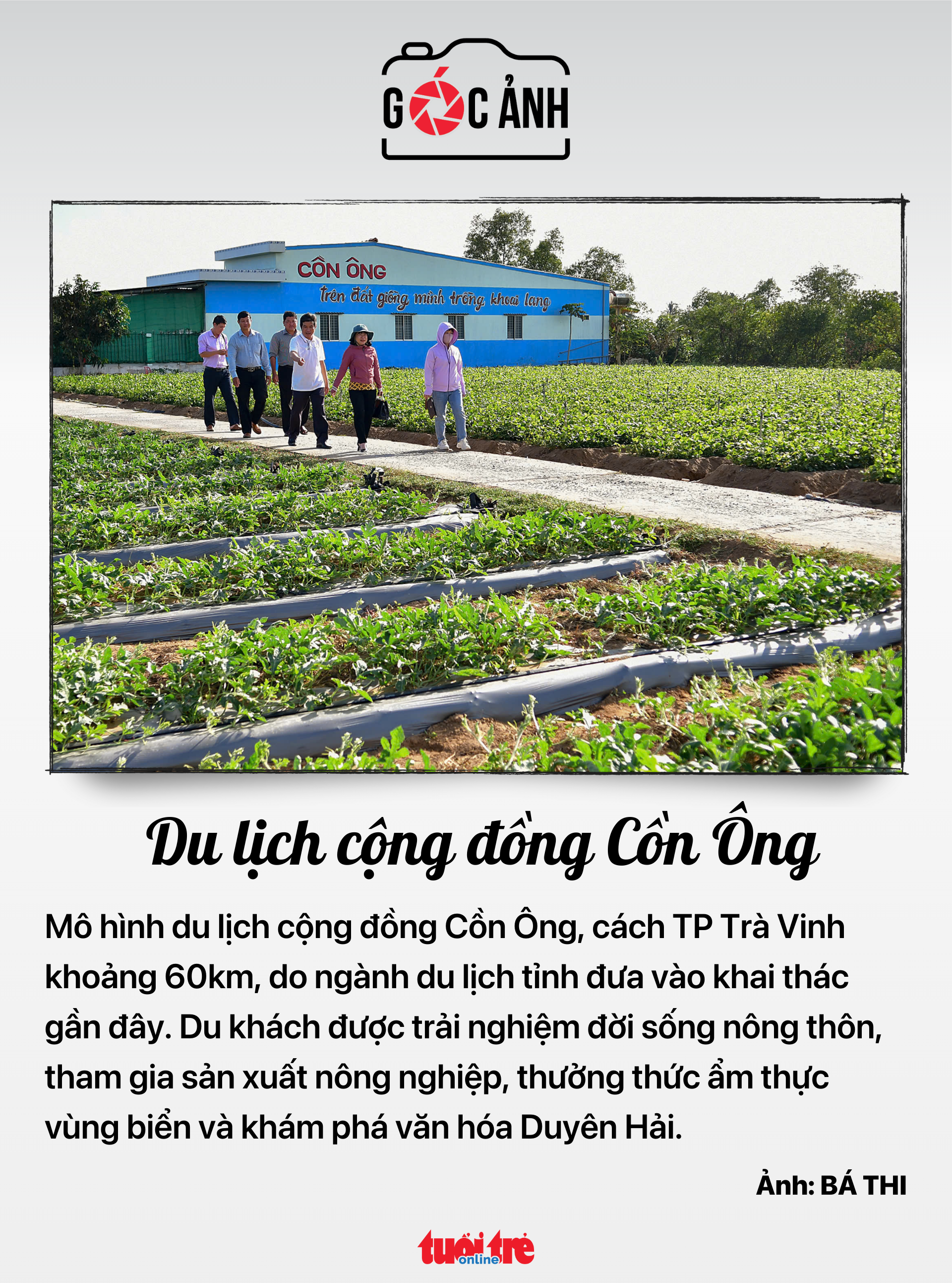 Cổ phiếu - Ảnh 6.