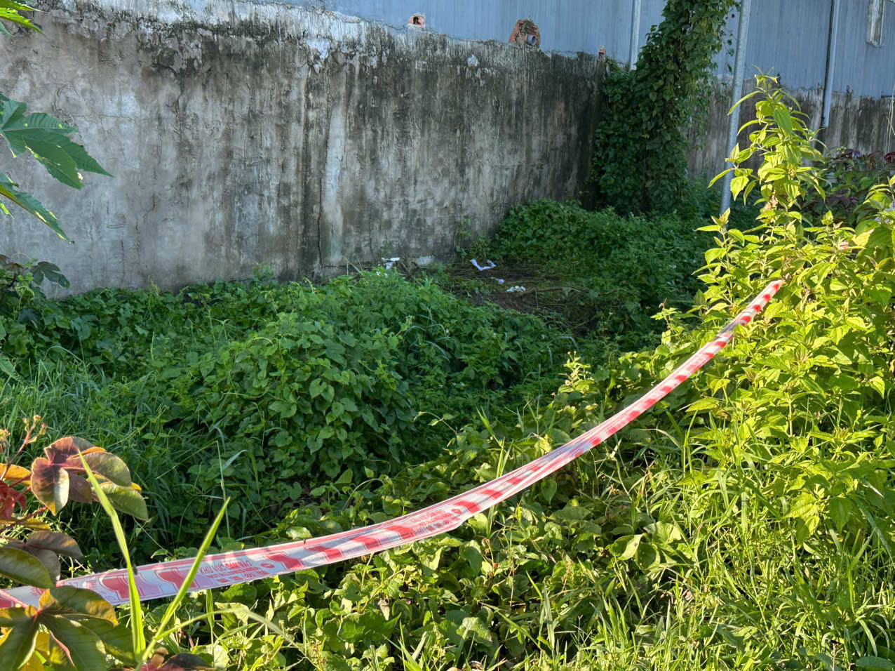 Điều tra vụ phát hiện bộ xương người tại bãi đất trống ở Bình Dương - Ảnh 1. xương người - Ảnh 1.