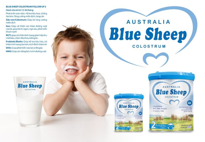 BLUE SHEEP - Ảnh 1.