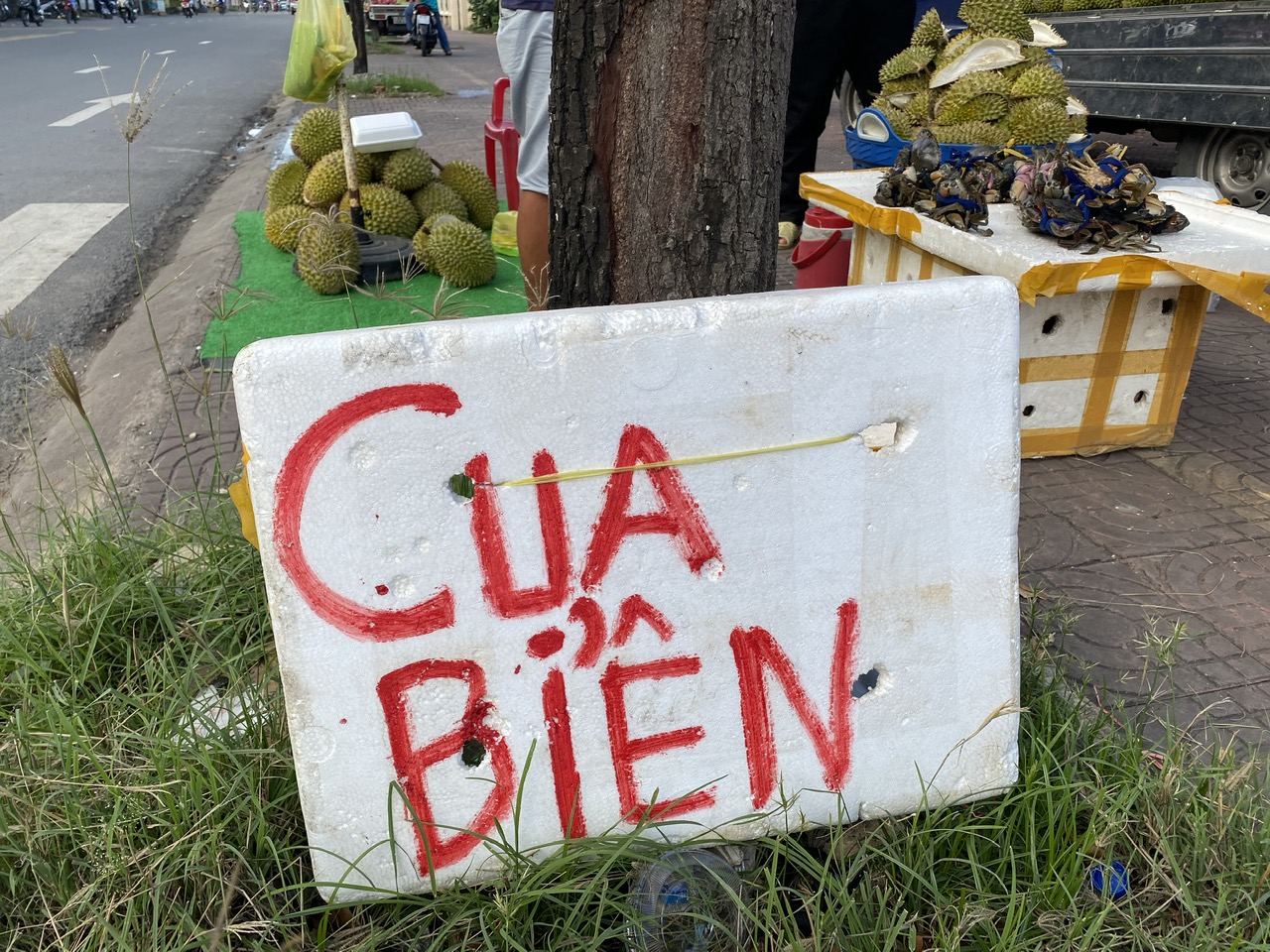 Cua cà mau - Ảnh 1.