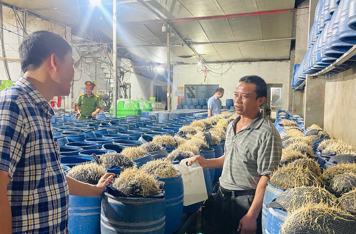 giá đỗ - Ảnh 6.