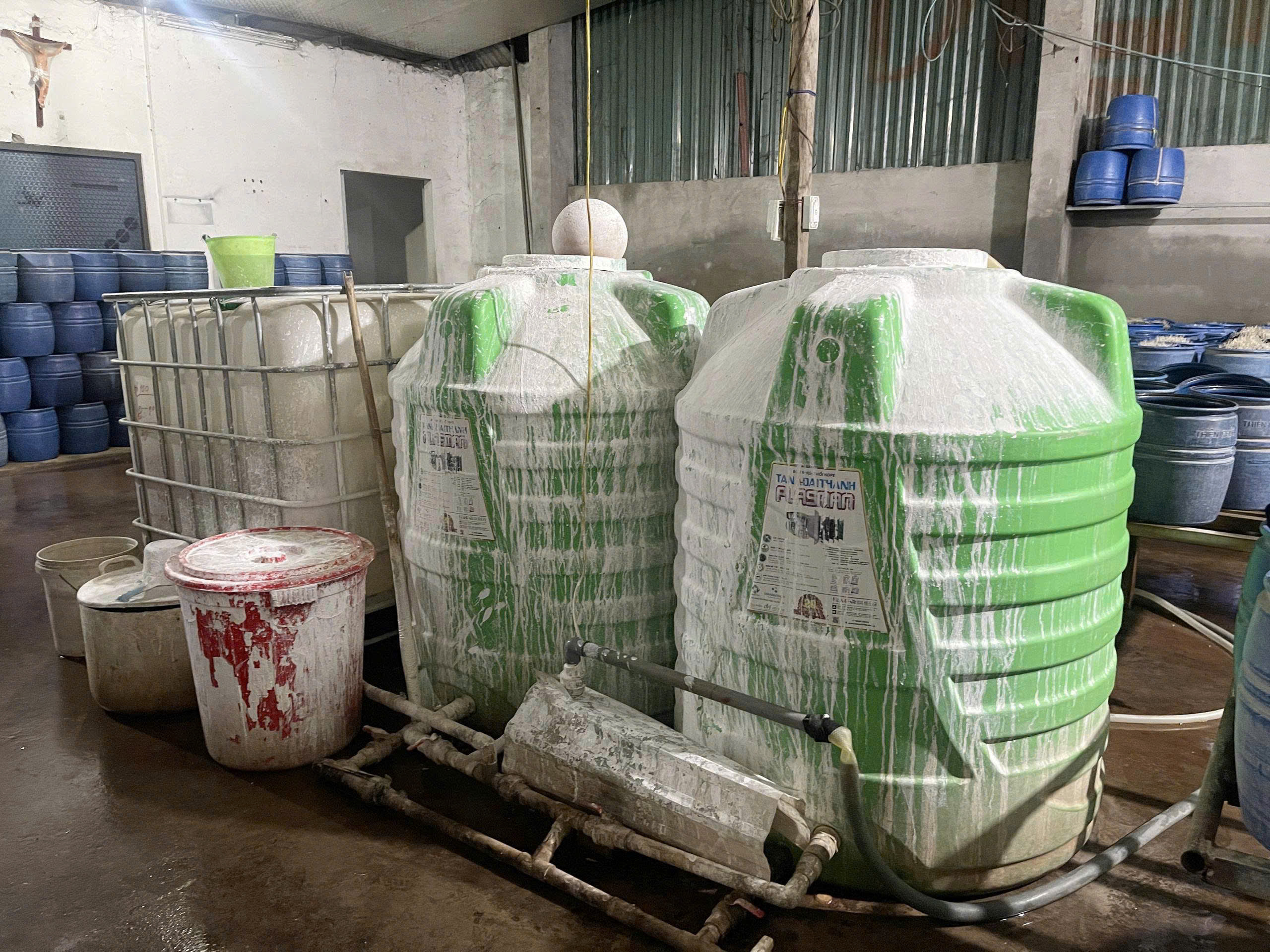 giá đỗ - Ảnh 5.