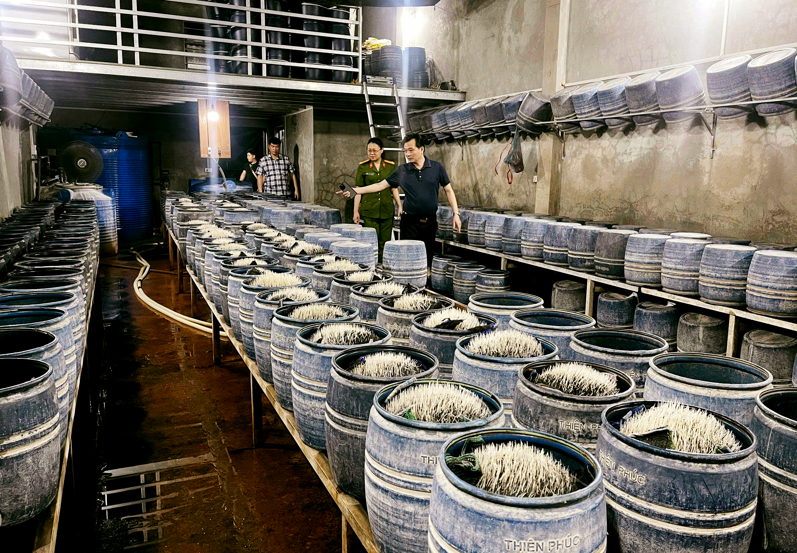 Cận cảnh xưởng làm giá đỗ được ủ hóa chất có hại cho sức khỏe - Ảnh 1.