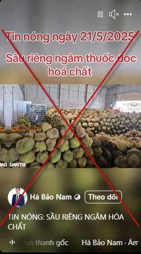 sầu riêng - Ảnh 1.