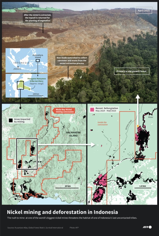 Nickel rush for stainless steel, EVs guts Indonesia tribe's forest home- Ảnh 8.