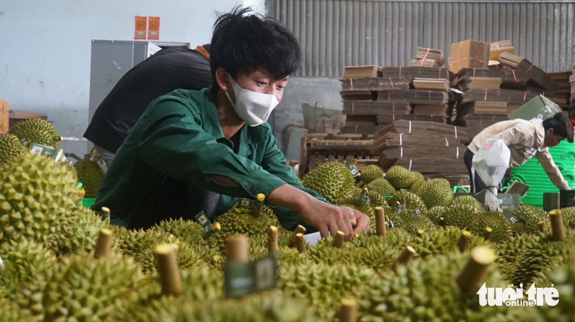 Sự thật về video sầu riêng nhúng hóa chất đang lan truyền trên mạng - Ảnh 2.