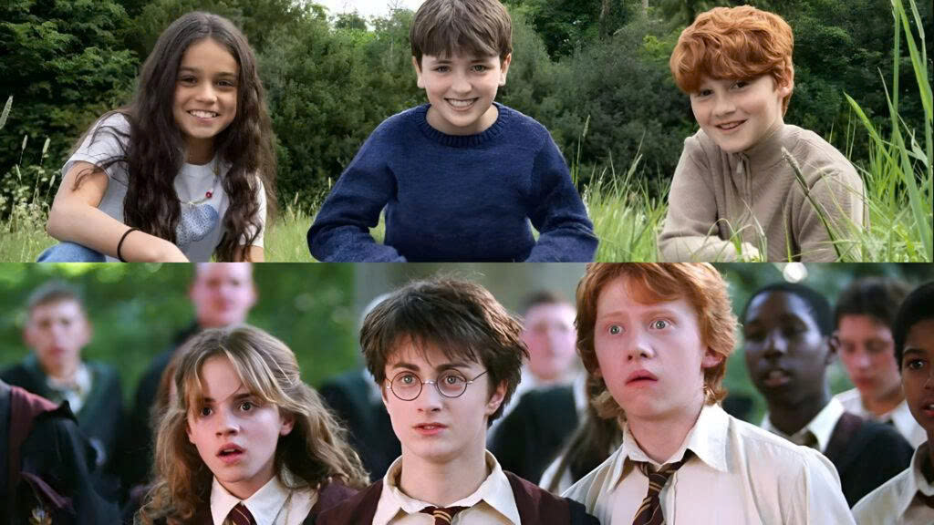 Harry Potter - Ảnh 1.