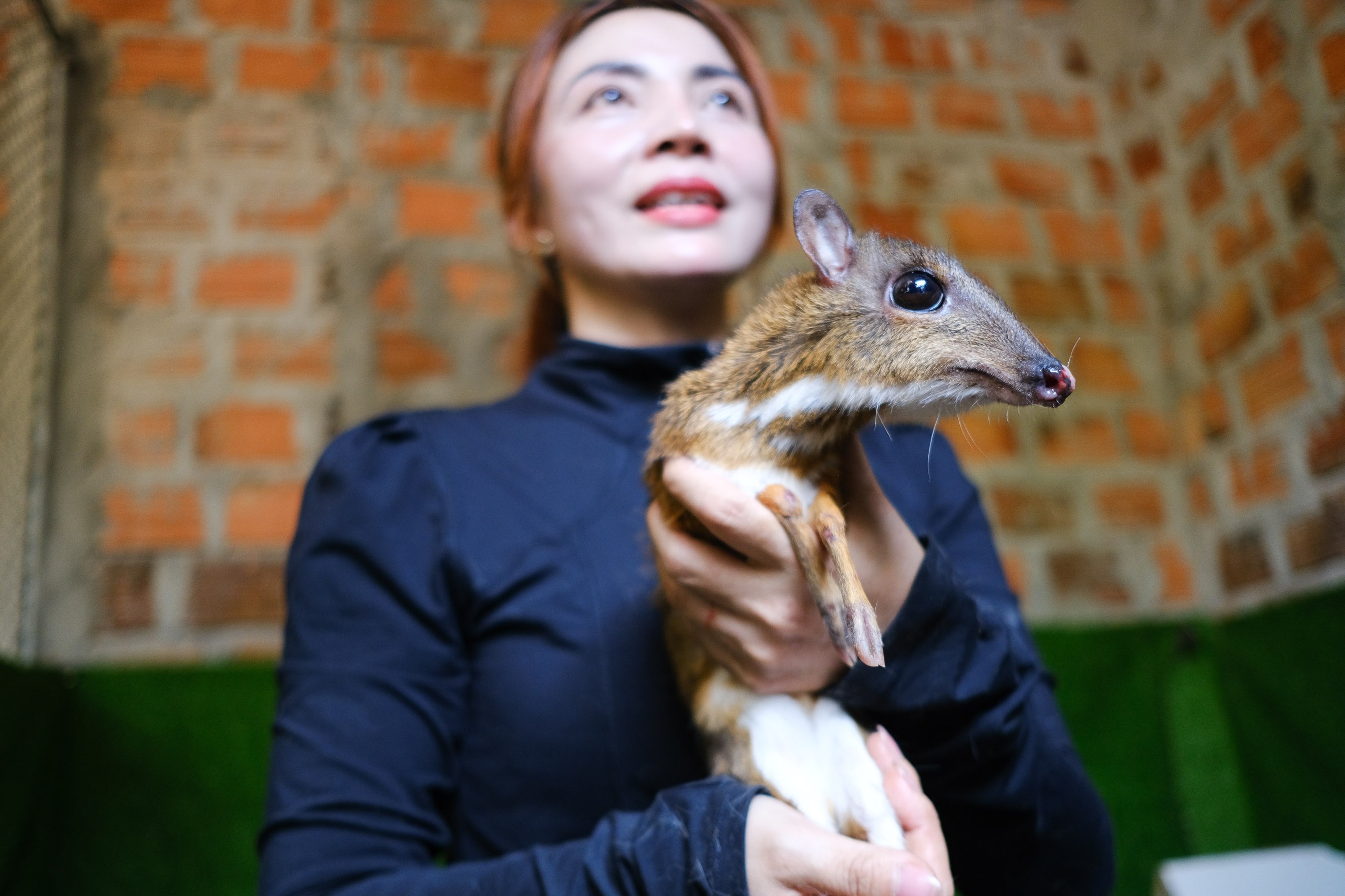 cheo cheo - Ảnh 1.
