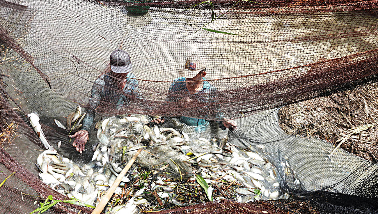 فصل عکاسی از برکهها در سرزمین عمو با فی - عکس ۲. chụp đìa - Ảnh 2.