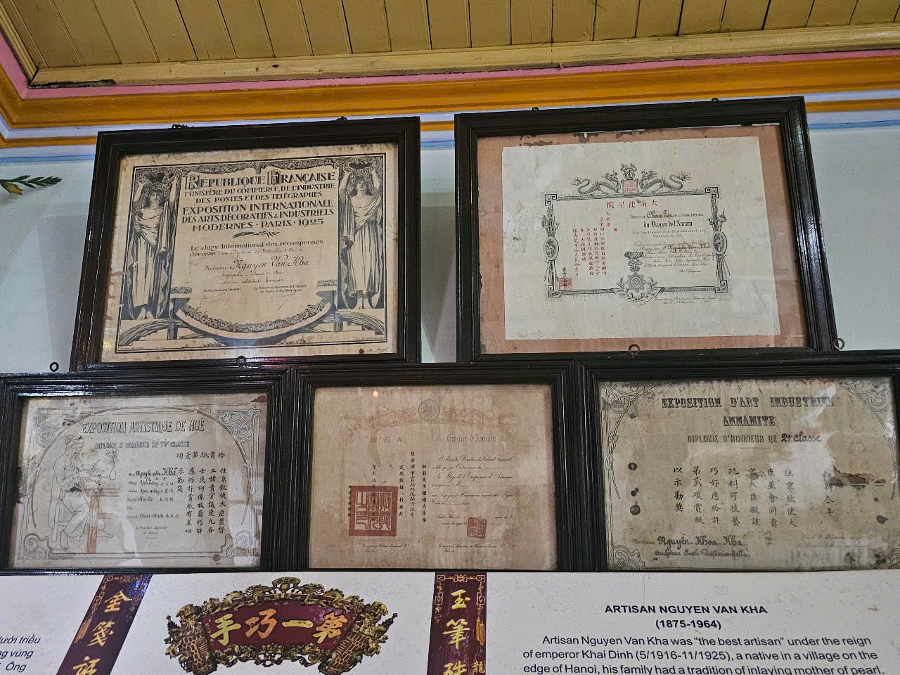 ngai vàng - Ảnh 7.