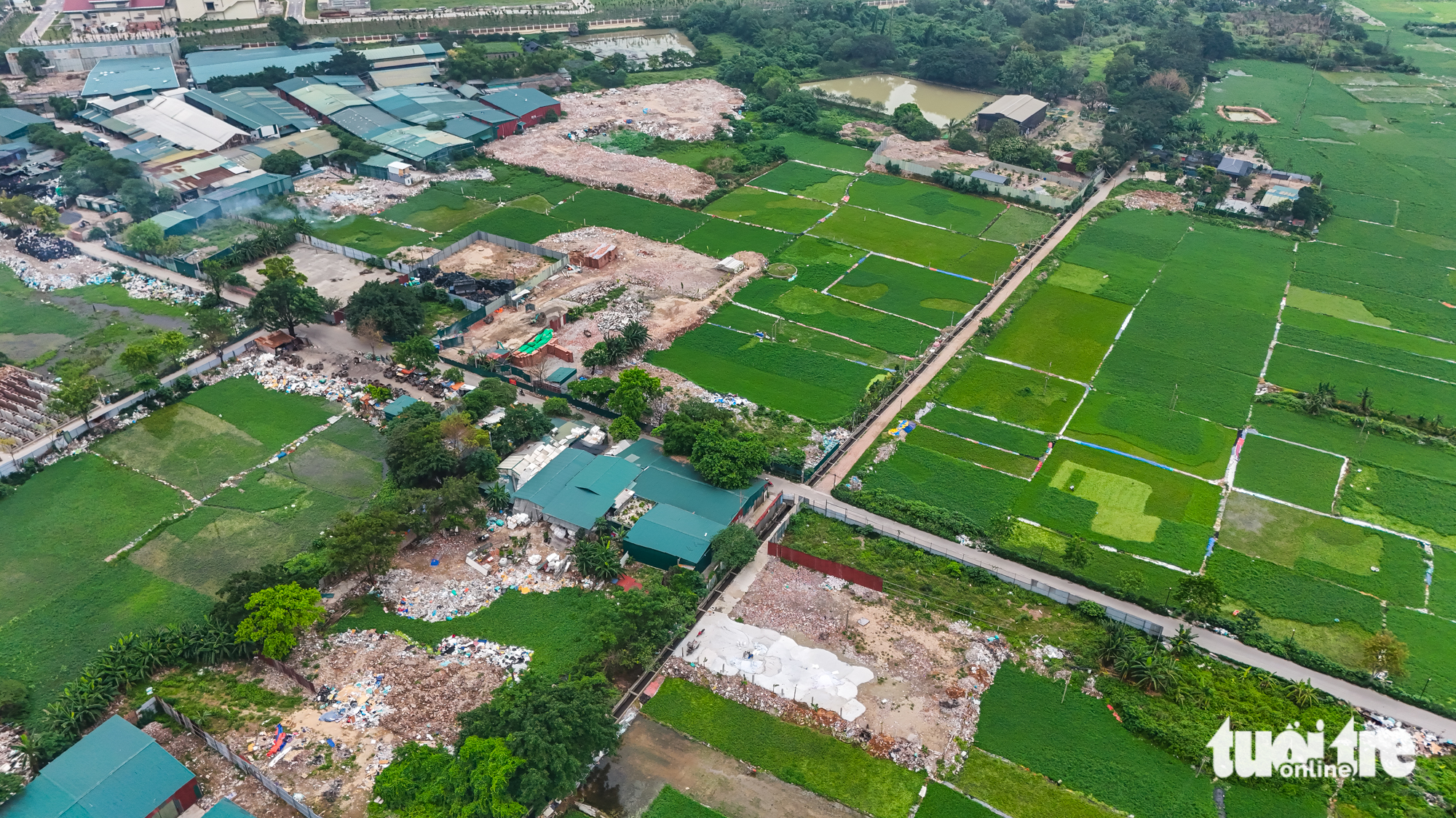 nông nghiệp - Ảnh 1.