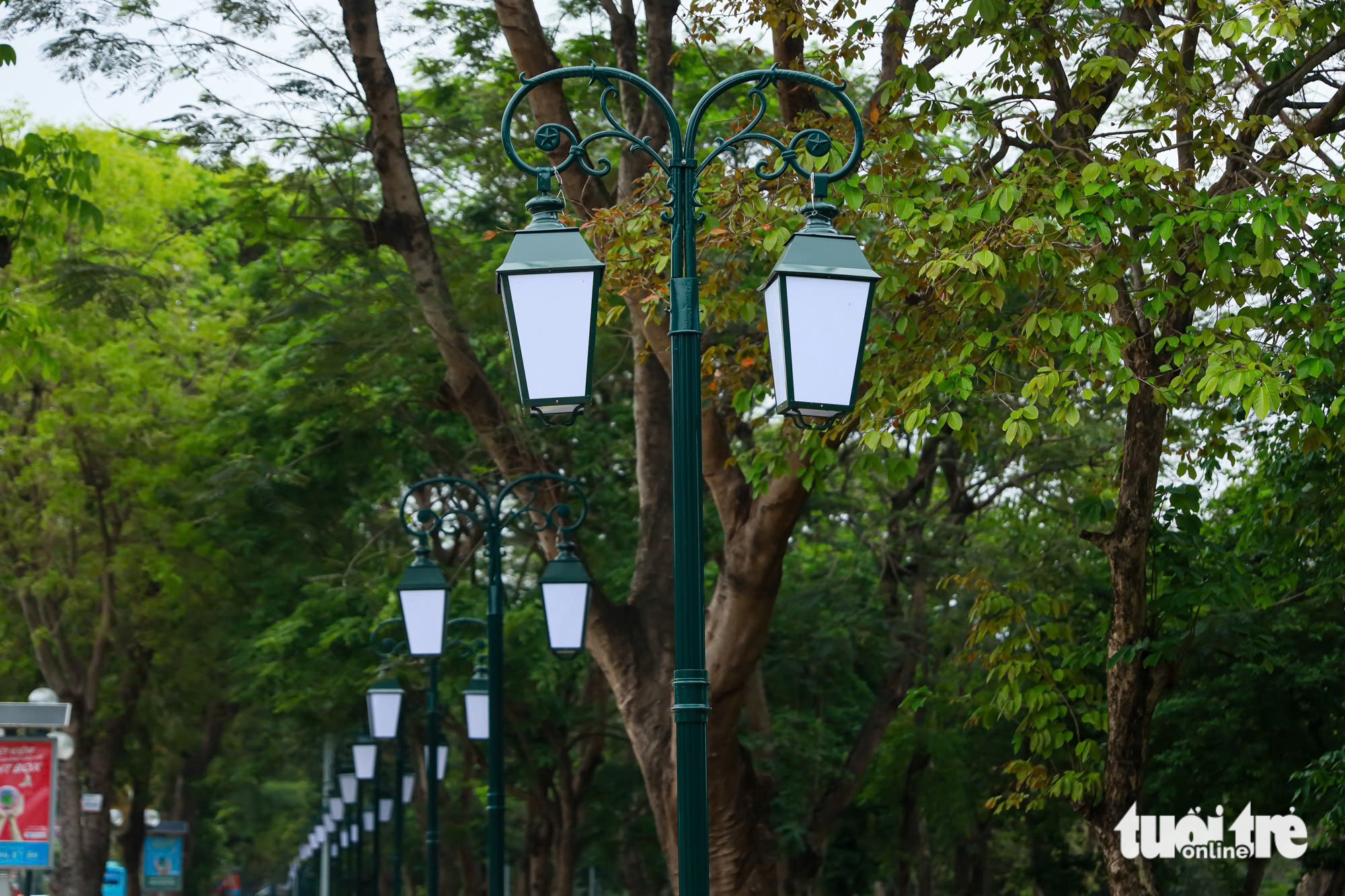 công viên - Ảnh 3.