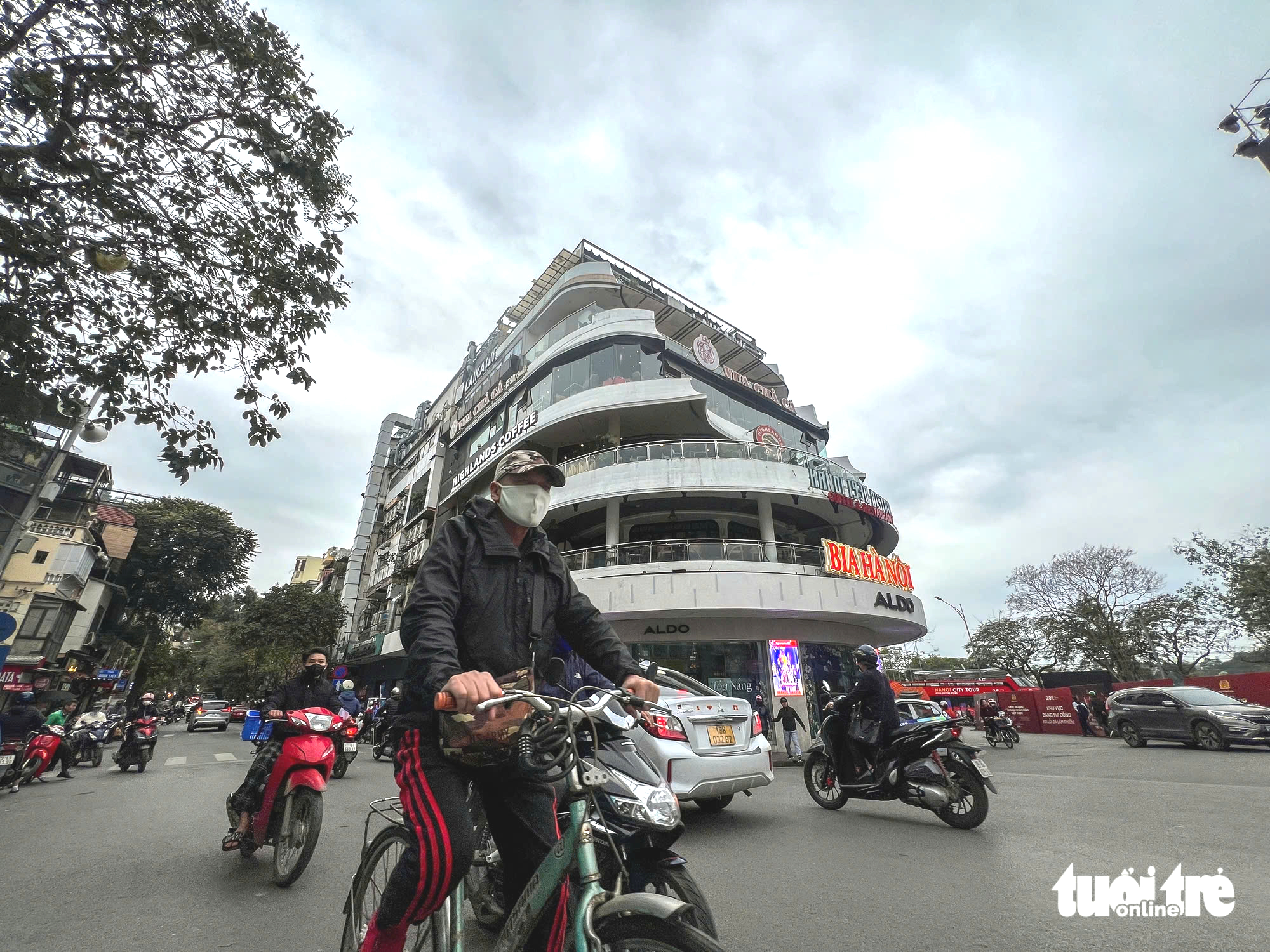 Hàm cá mập - Ảnh 1.
