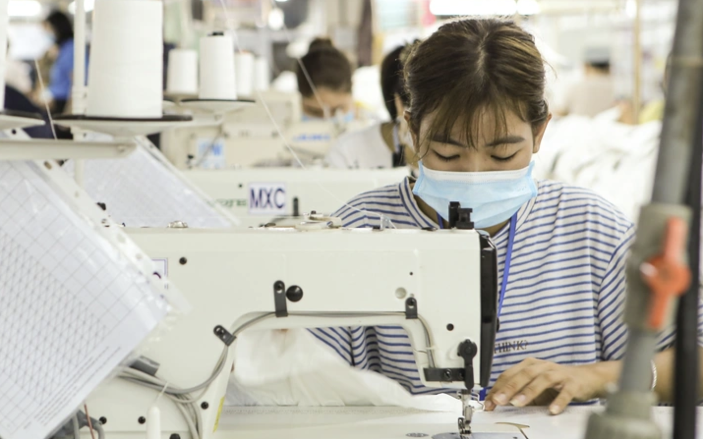 From export icon to struggle: Vietnam’s Legamex halts outsourcing operations amid financial woes- Ảnh 2.