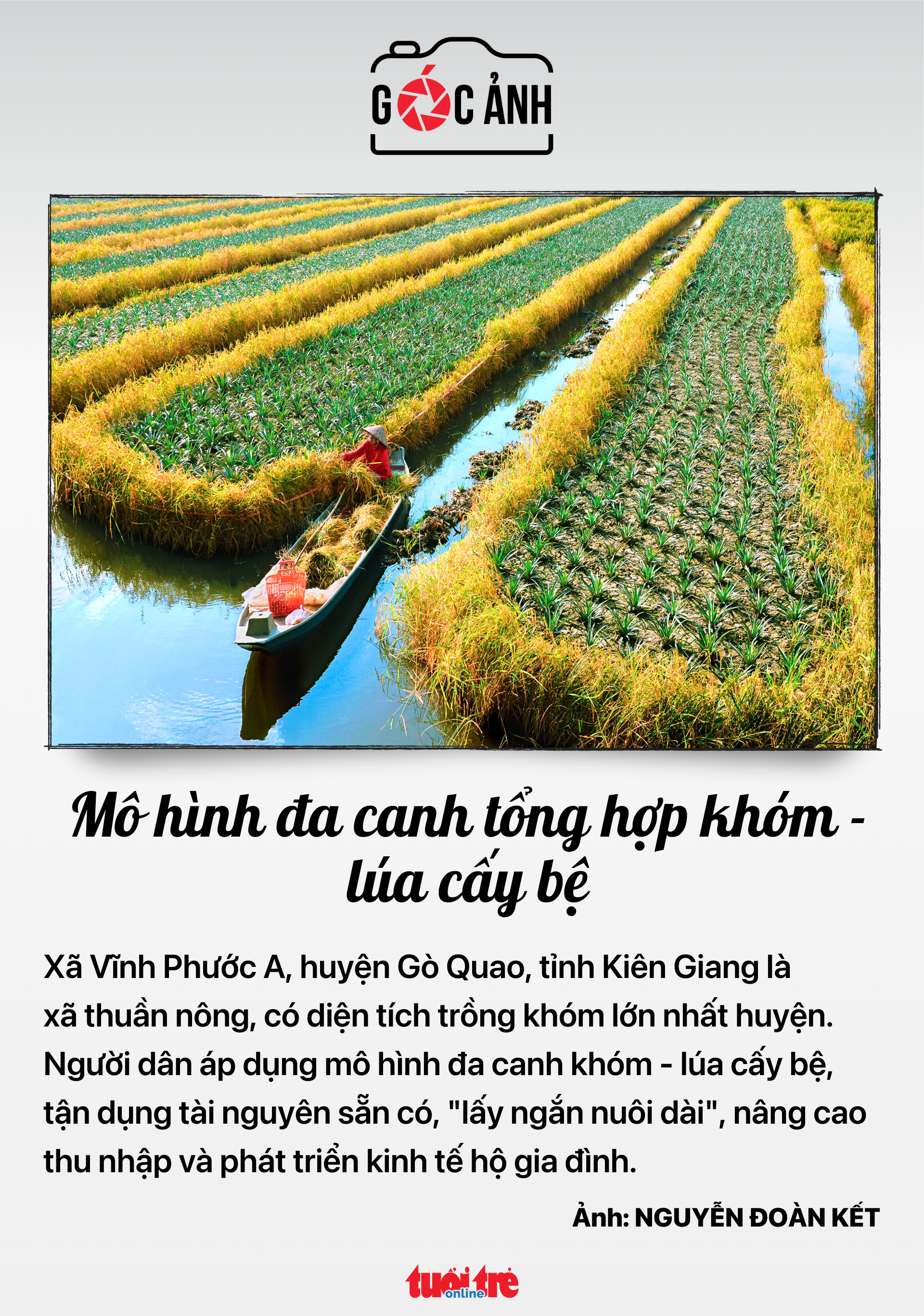 tin tức - Ảnh 8.