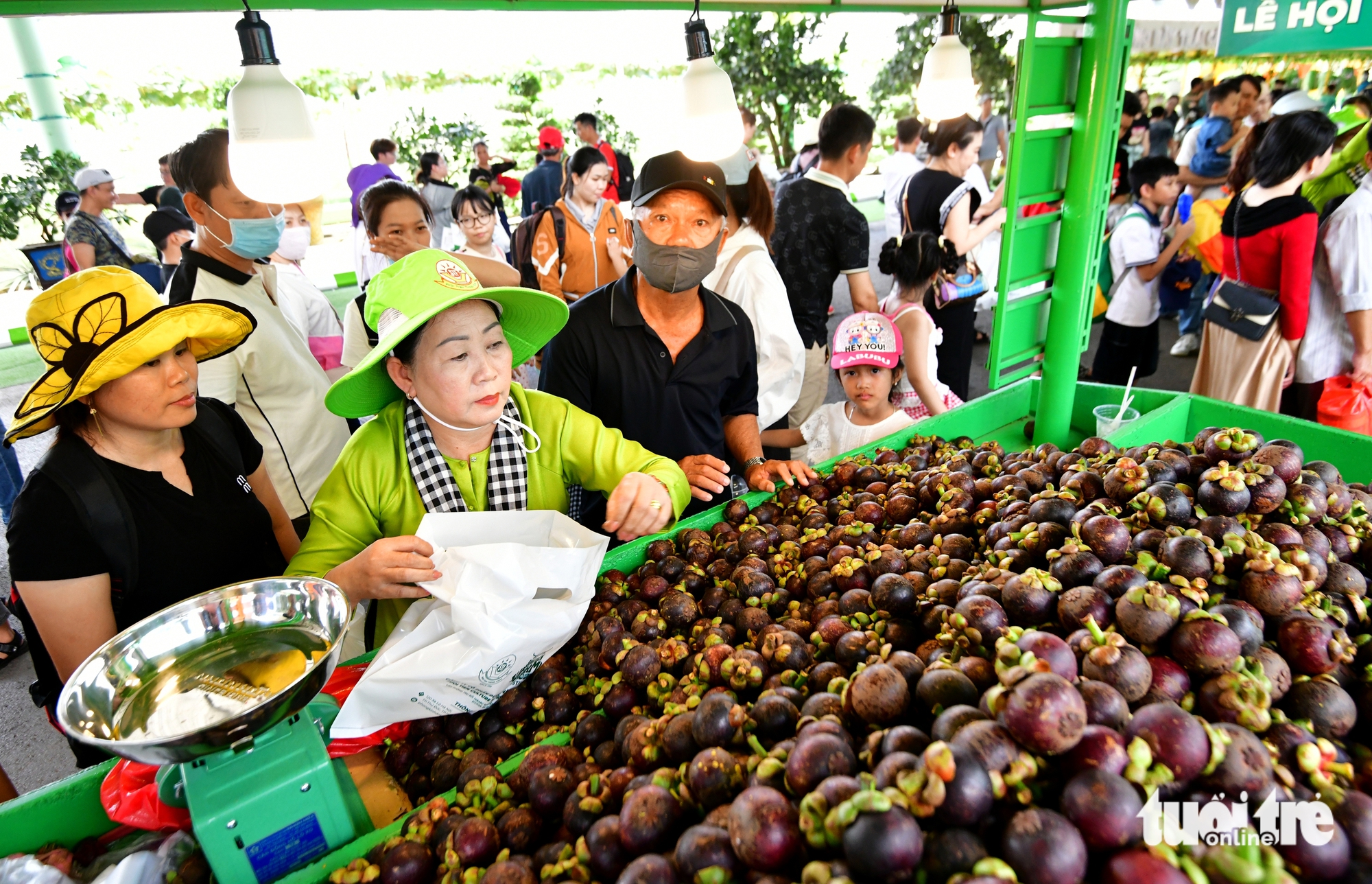 Lễ hội trái cây nam bộ - Ảnh 10.
