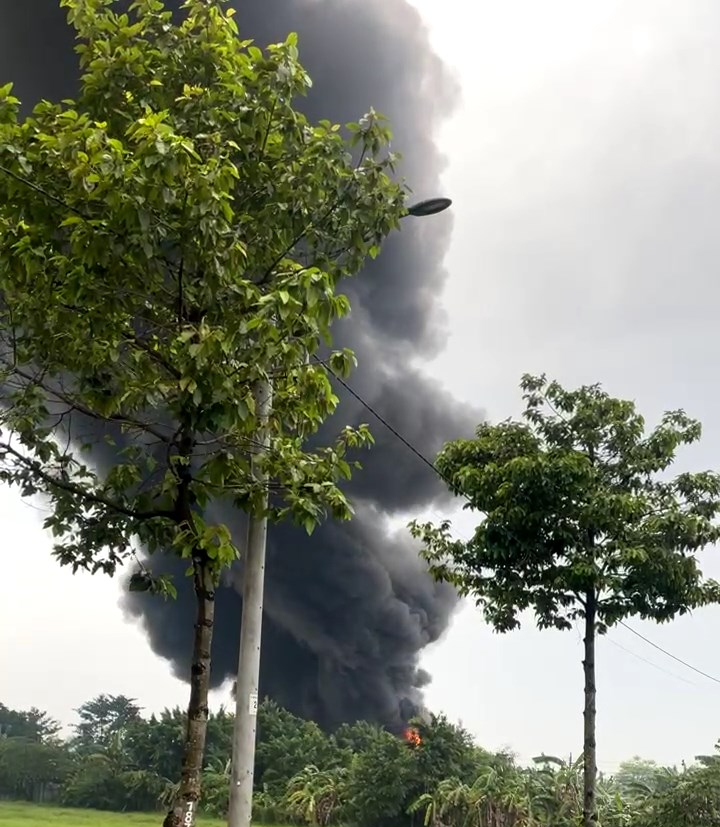 cháy nhà xưởng - Ảnh 1.