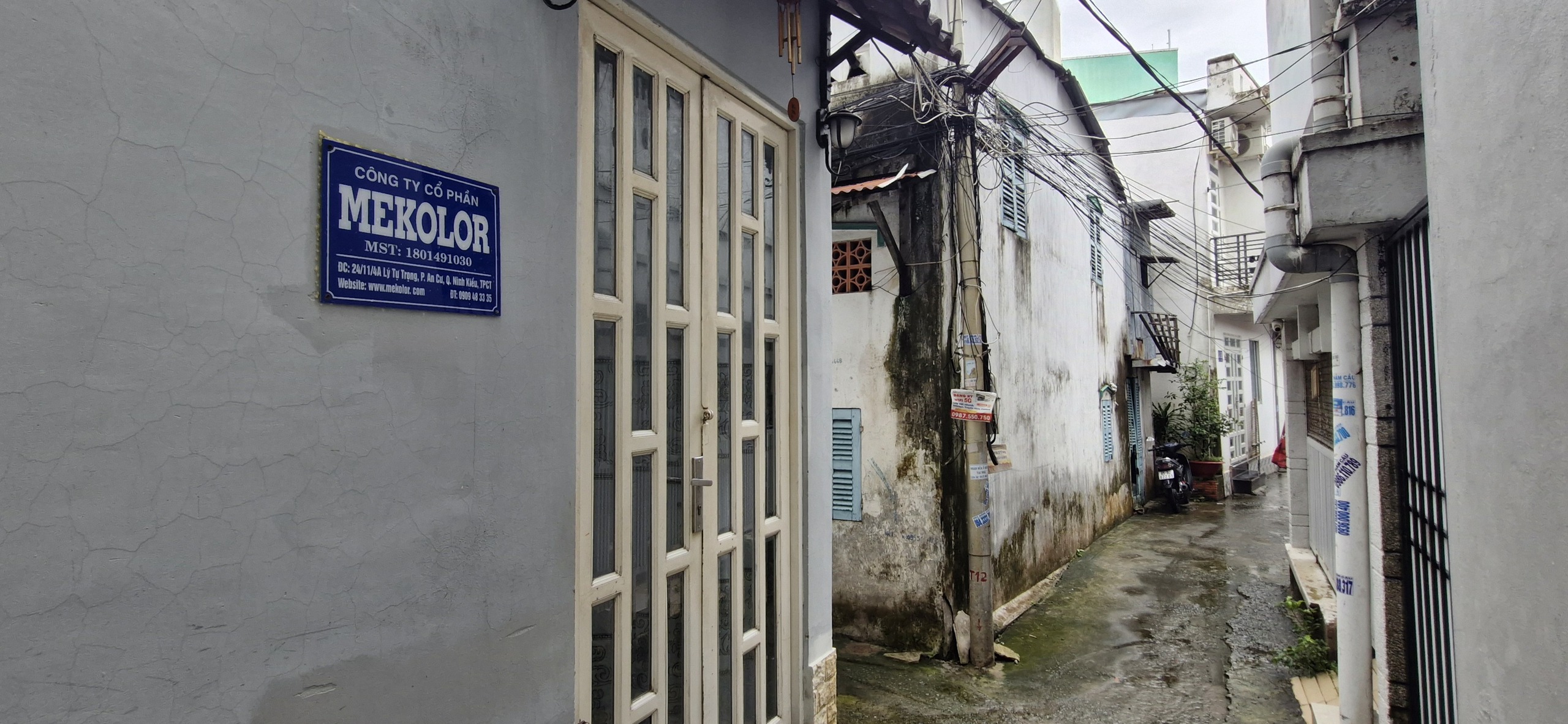 Mekolor - Ảnh 3.