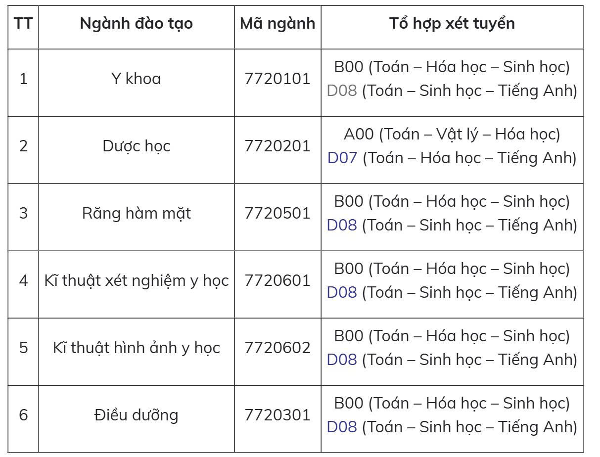 Trường đại học Y dược - Ảnh 2.