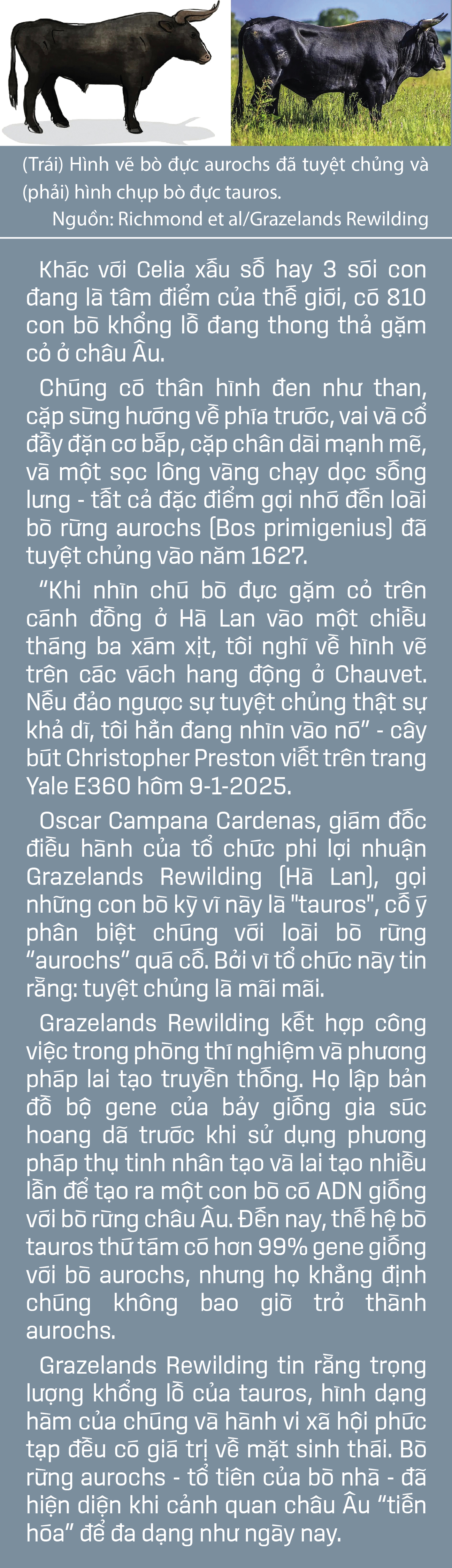 Hồi sinh động vật tuyệt chủng:  Ảo mộng và triển vọng - Ảnh 11.