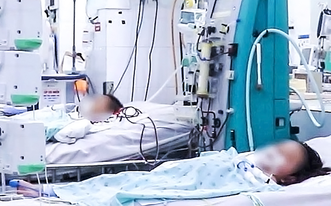 Berita pagi 30 Juni: Gadis menderita kerusakan hati, gagal napas parah akibat syok demam berdarah - Foto 8. tin tức - Ảnh 5.