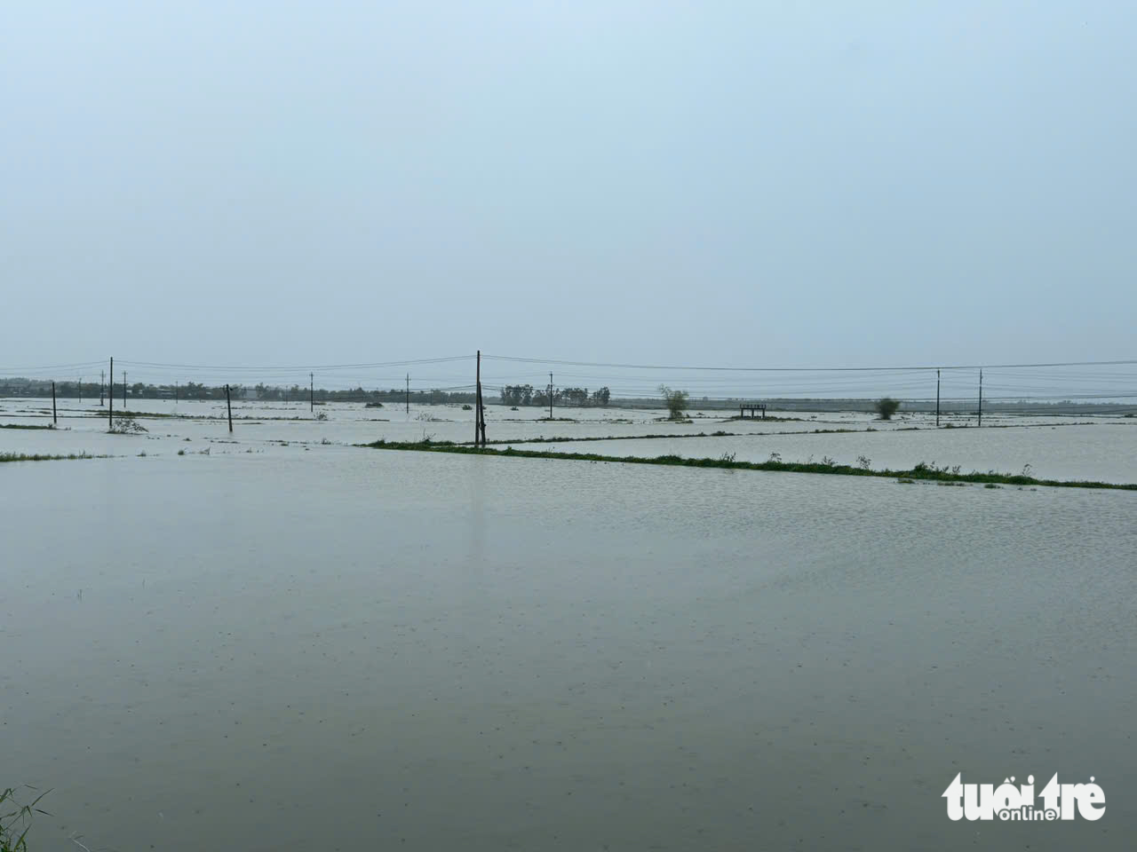 nước lũ - Ảnh 3.