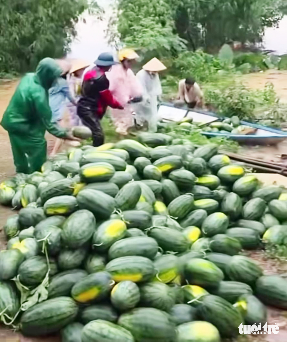 Hơn 700 ngôi nhà ở Quảng Nam bị ngập, hàng ngàn hecta đất trồng chìm trong nước lũ - Ảnh 6.