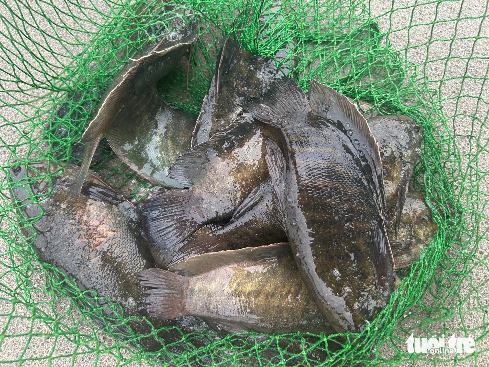 Đà Nẵng - Ảnh 10.