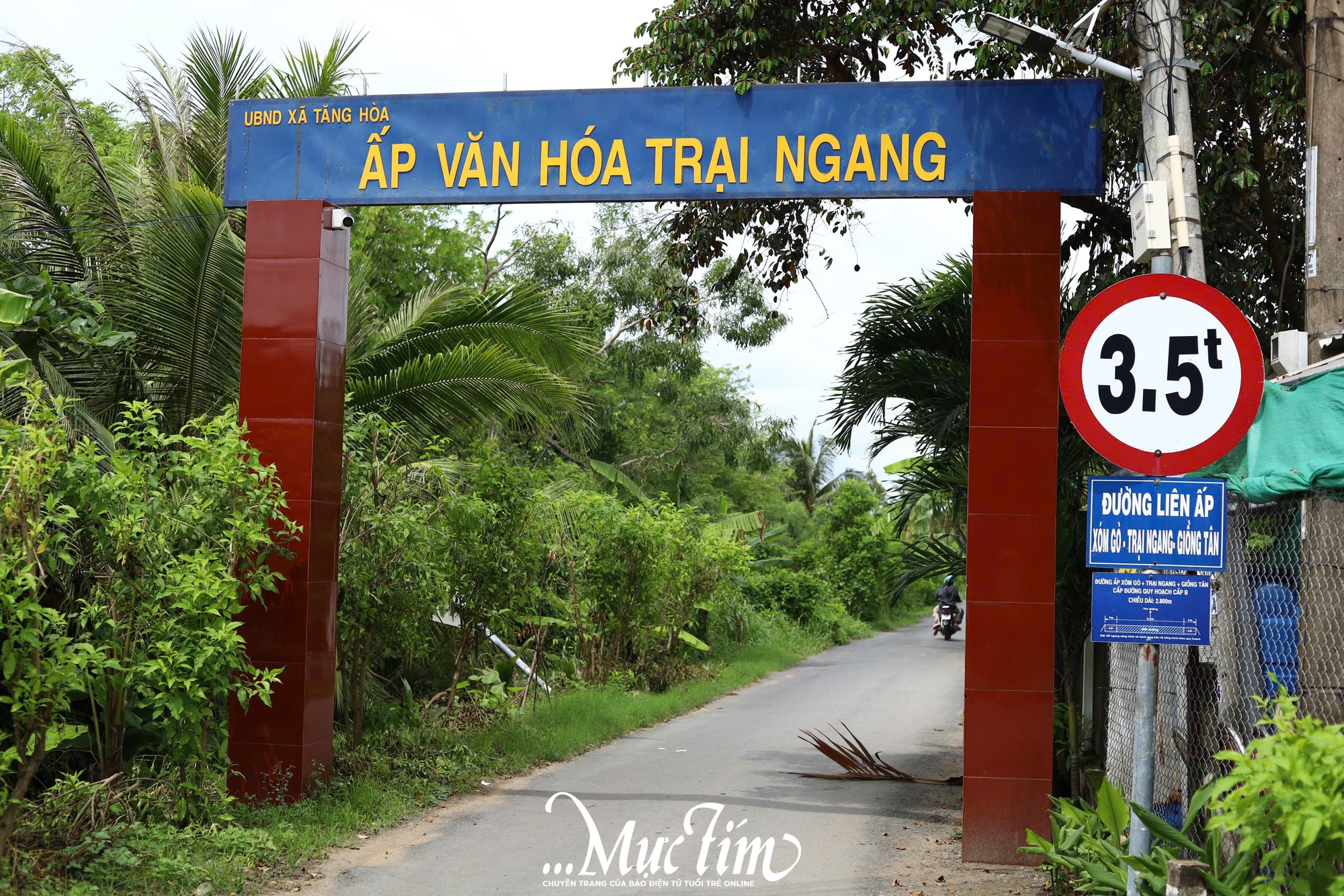 Về Gò Công Đông (Tiền Giang) check-in vườn nho sai trĩu quả - Ảnh 2.