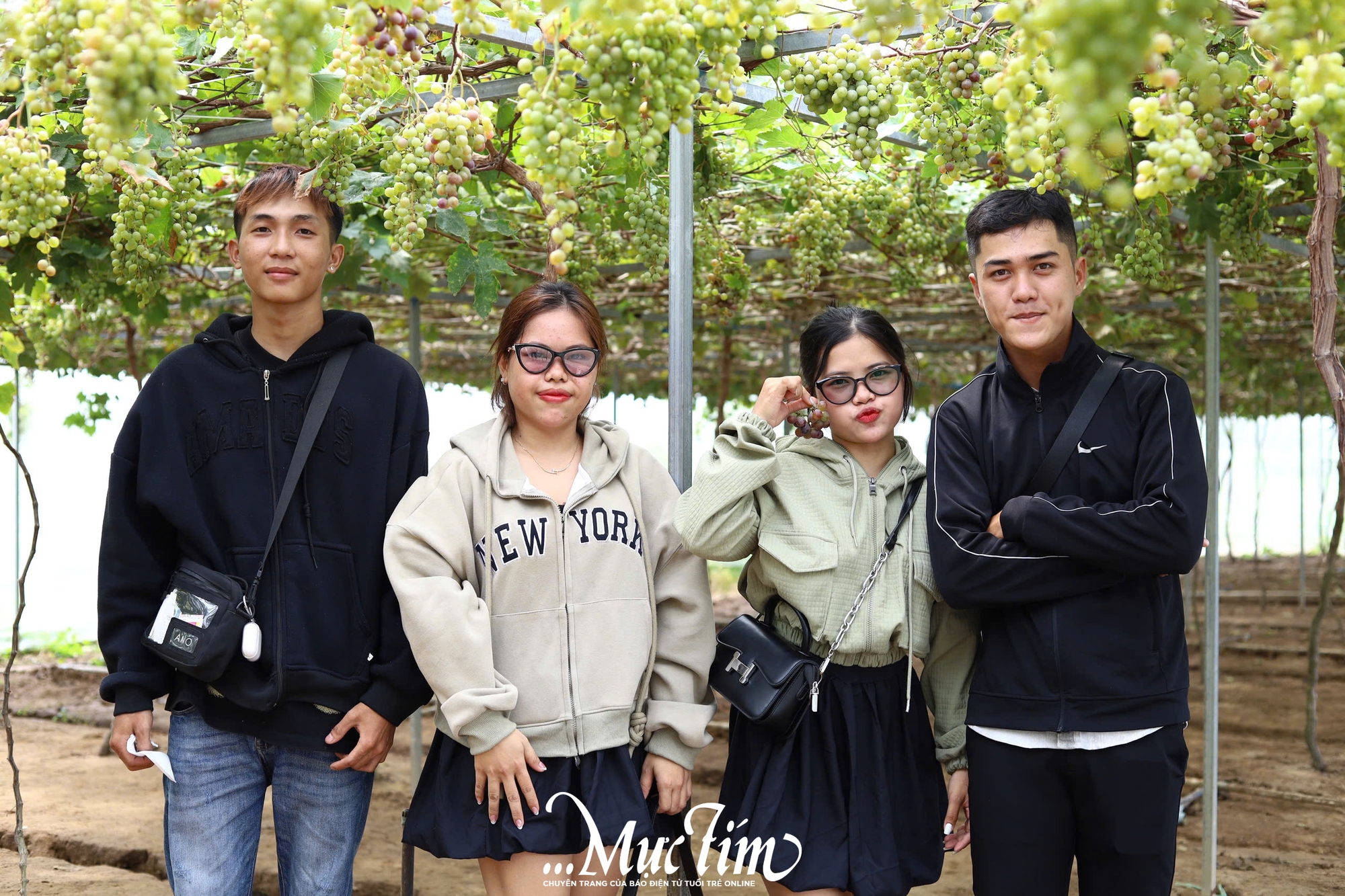 Về Gò Công Đông (Tiền Giang) check-in vườn nho sai trĩu quả - Ảnh 12.