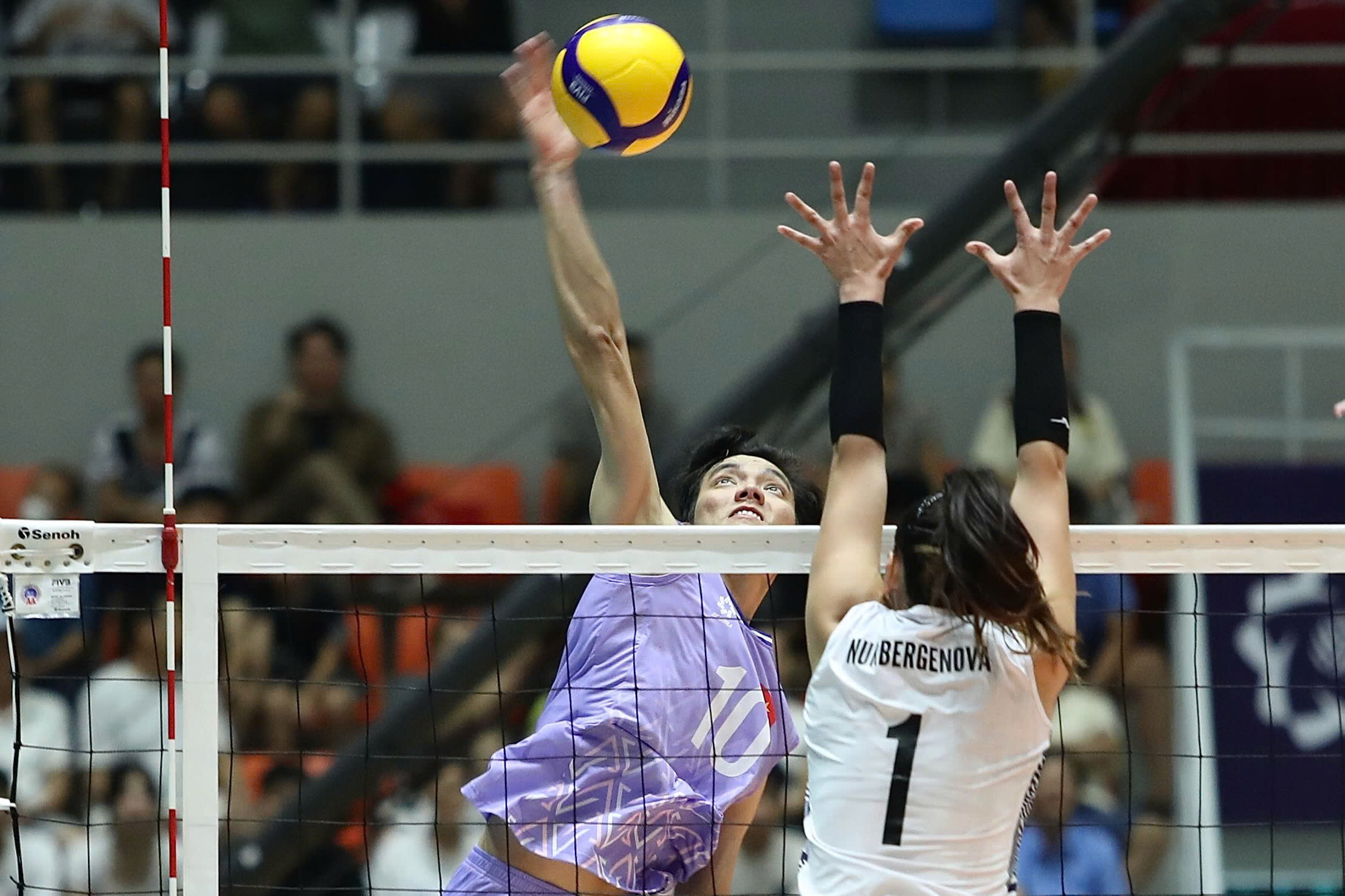 bóng chuyền nữ Việt Nam - Ảnh 2.