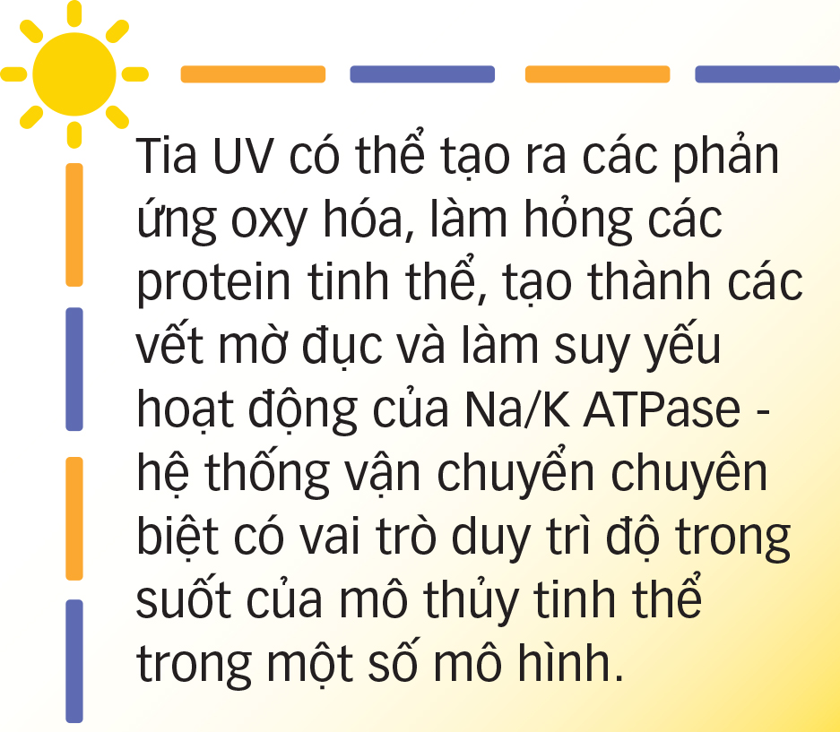 Sức khỏe mắt biến đổi cùng khí hậu - Ảnh 5.