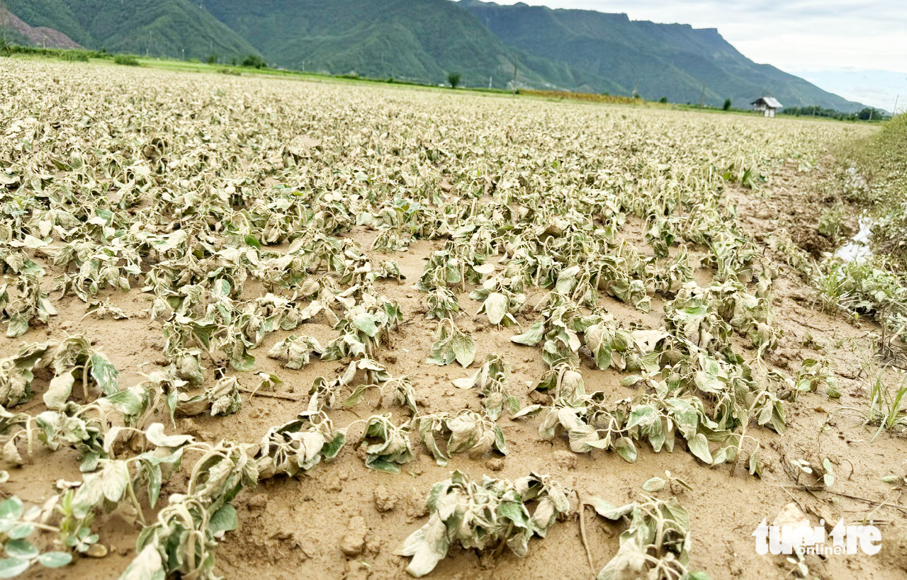 lũ trái mùa - Ảnh 1.