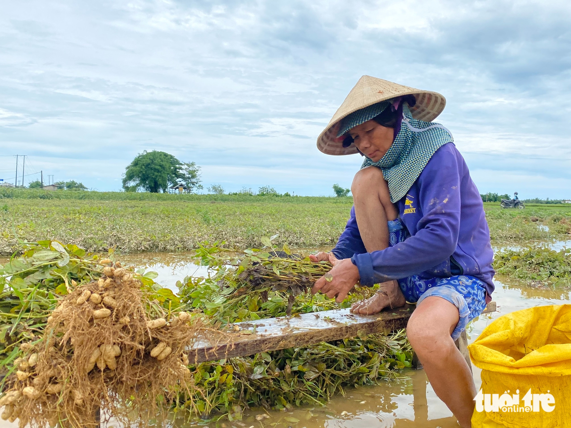 BỘ ĐỘI - Ảnh 4.