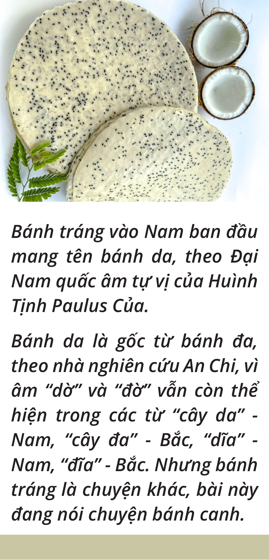 Sài Gòn bánh canh Marie Sen - Ảnh 3.