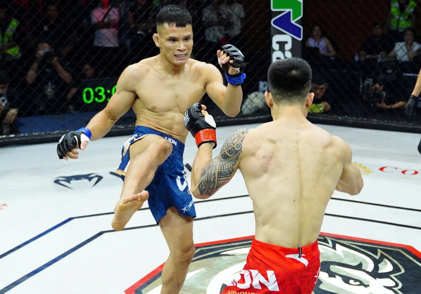 lê văn tuần - Ảnh 1.